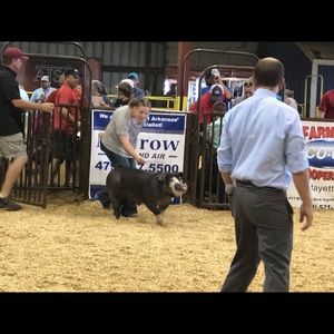 Meet your Posher, Madison